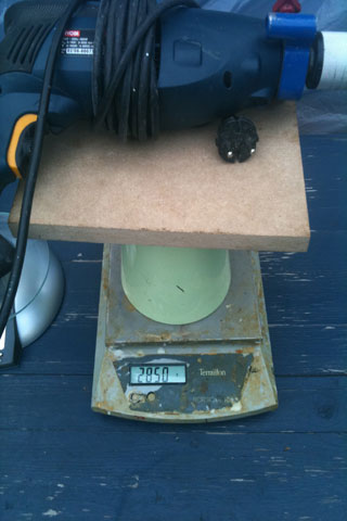 user posted image