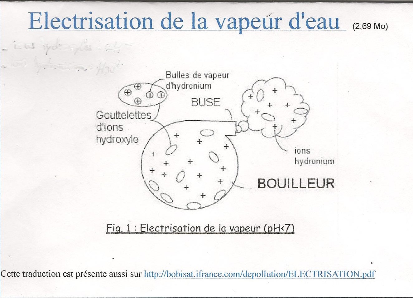 Image attachée