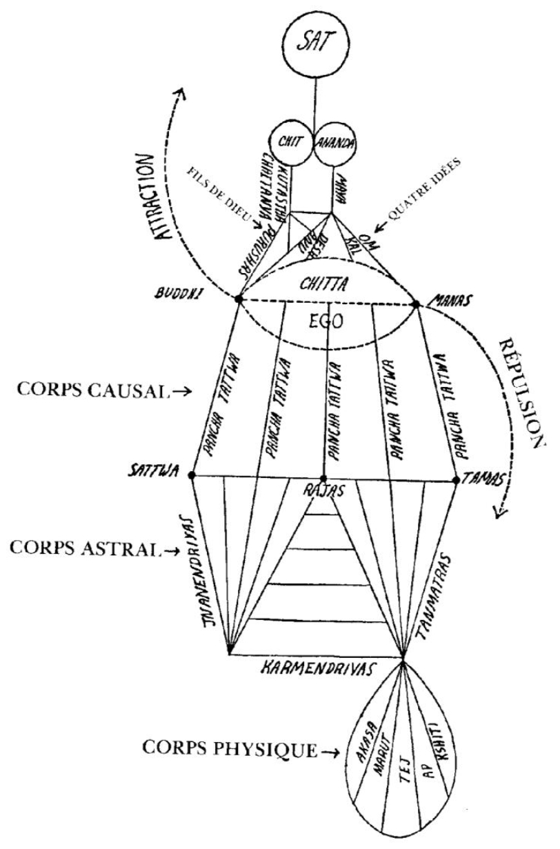 Image attachée