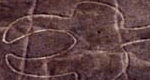 Perroquet
