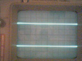 Image postée par l'utilisateur